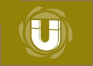 Файл:Притягивающий луч(иконка).png