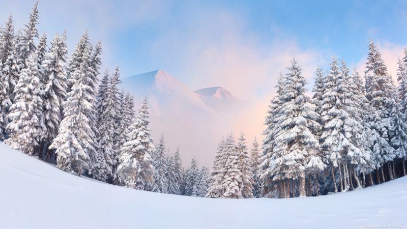 Файл:Img.jpg