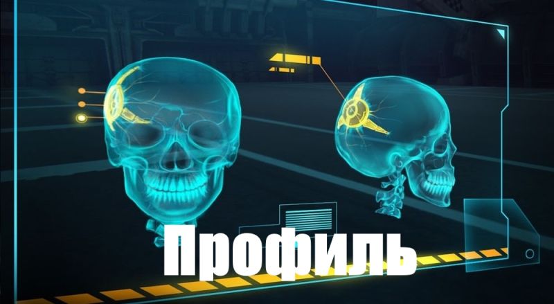 Файл:Профиль.jpg