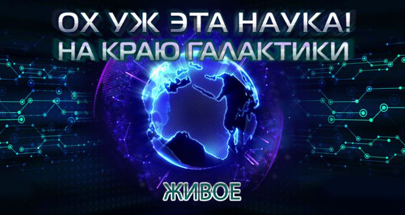 Файл:NeNes2.jpg